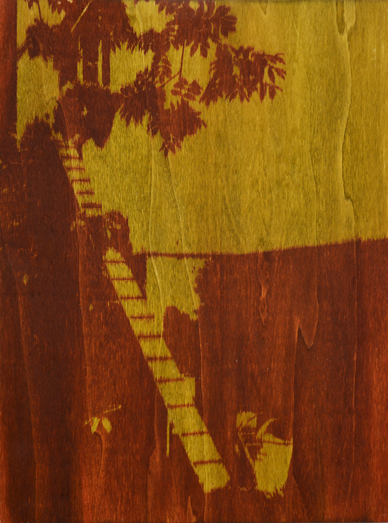 Echelle à chat n°4, Encre sur bois, 40 × 30 cm, 2013