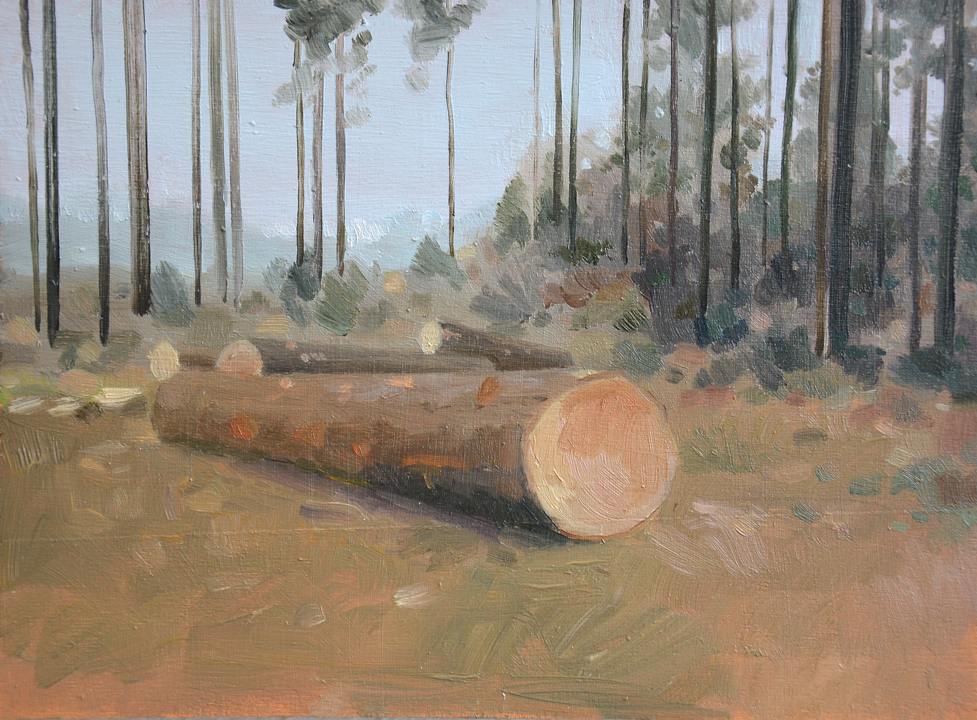 Dégâts de forêt n°7, Huile sur toile, 14 × 21 cm, 2014