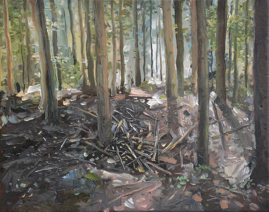 Dégâts de forêt n°1, Huile sur toile, 34 × 30 cm, 2013