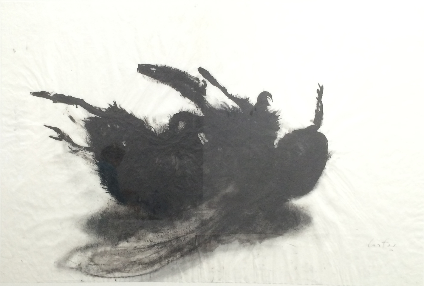 Gisante, Encre et fusain, 50 × 100 cm, 2010