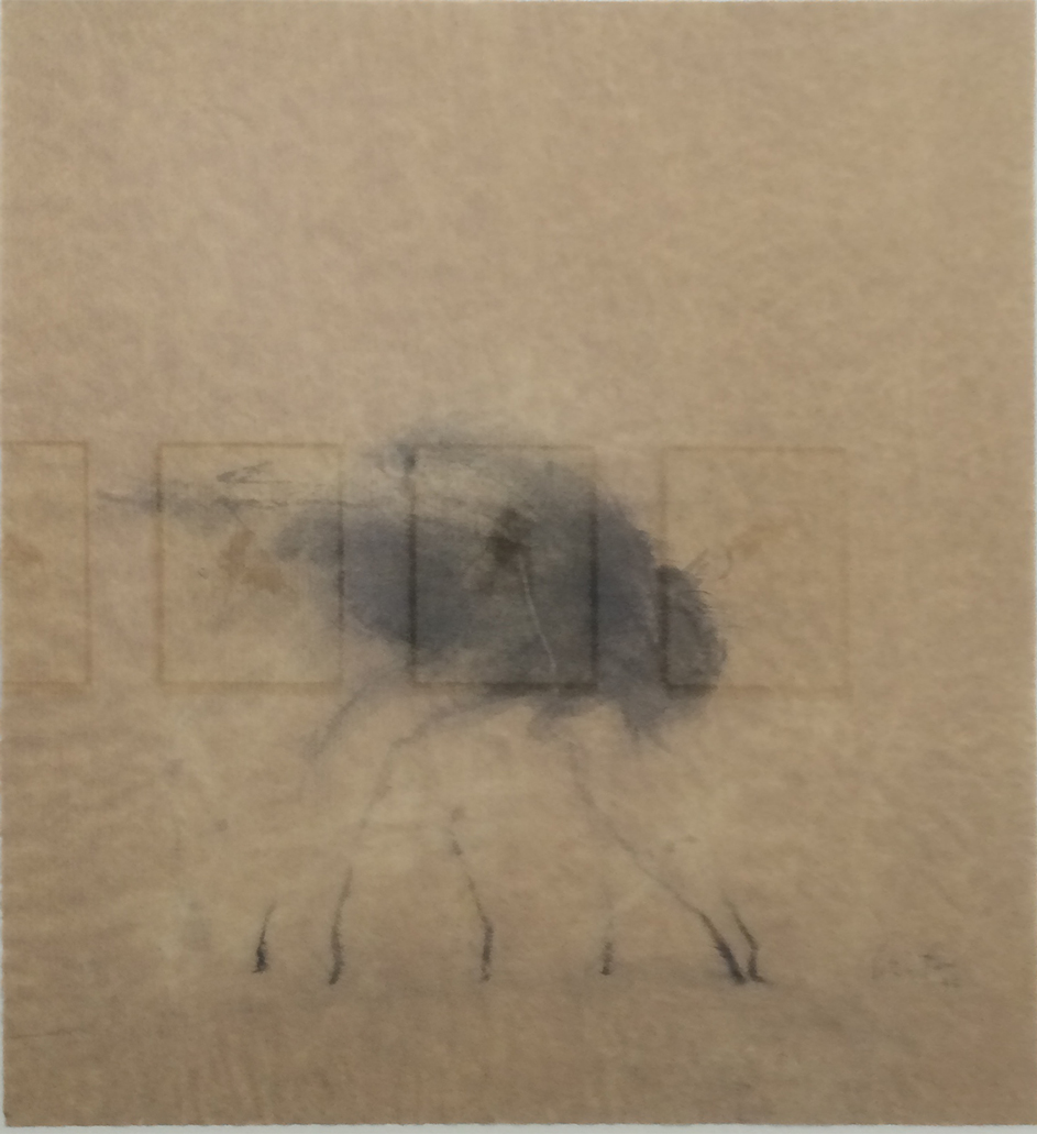 la mouche du brouillard, Encre sur papier Kraft, 35 × 32 cm, 2006