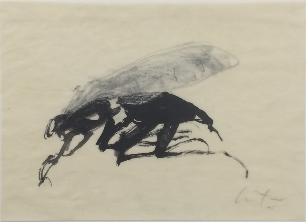 Coureuse, Encre, 30 × 21 cm, 2005