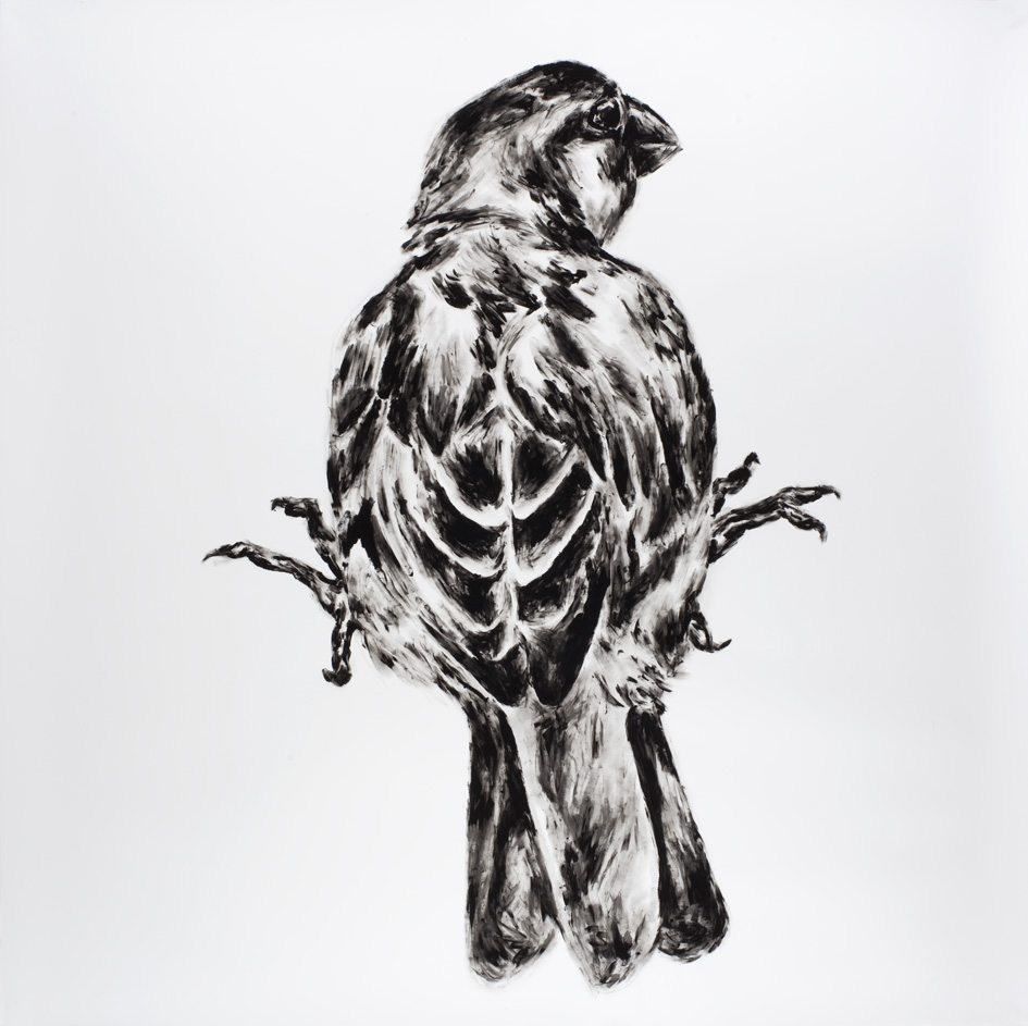 Moineau, Peinture au doigt gouache noire sur Canson, 150 × 150 cm, 2010