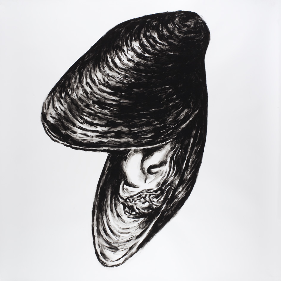 Moule, Peinture au doigt gouache noire sur Canson, 150 × 150 cm, 2010