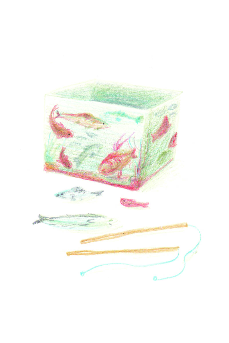 Objets, Pêche miraculeuse, Crayon de couleur sur Lana Caligraphie, 21 × 15 cm, 2017