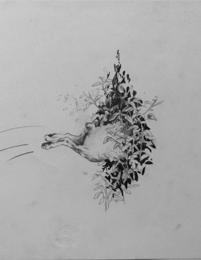 Image d'une oeuvre au crayon sur papier de l'artiste espagnole Paz Boïra qui expose à la galerie RichterBuxtorf en septembre-octobre 2018