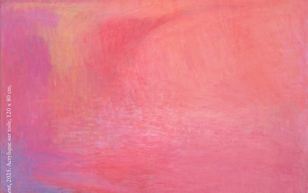 Anne Pantillon fait péter la couleur